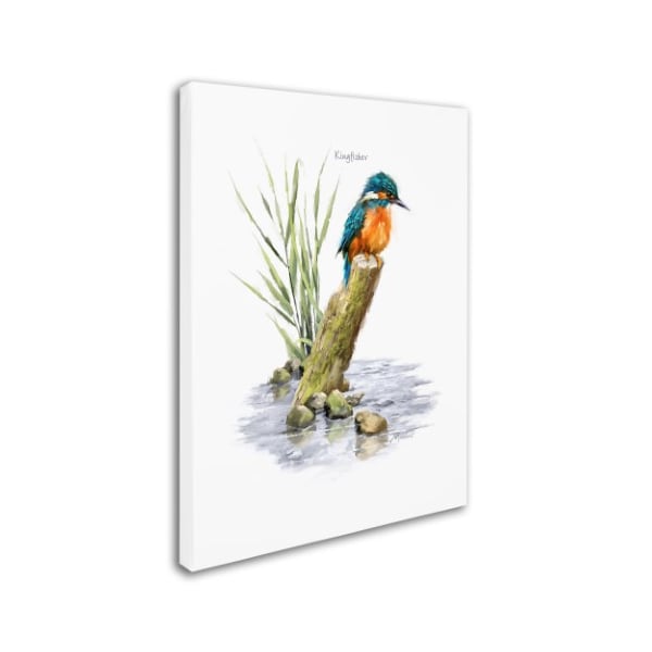 The Macneil Studio 'Kingfisher' Canvas Art,14x19